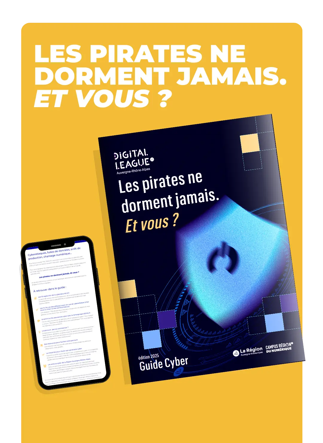Guide cyber n°2 : les pirates ne dorment jamais et vous